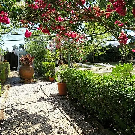 Alcaide Bed & Breakfast 3*